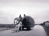 Villanova Marchesana. Terra e acqua 1961 - 1963